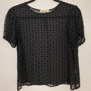 Sheer black top w velvet dot pattern